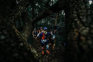 BIB: 
                            <button type="button" onclick="openModal(25677246)" class="btn btn-primary btn-sm float-right btn-popup" data-toggle="modal" data-target=".modal-high-quality">
                        <i class="fas fa-shopping-cart"></i> Add to Cart
                    </button>
                                            <button type="button" onclick="isThisMe(25677246, true)" class="btn btn-success btn-sm float-right btn-popup btn-isme hidden" data-toggle="tooltip" data-placement="bottom" title="นี่คือรูปของคุณใช่ไหม คลิกที่นี่เพื่อเอาเข้าอัลบั้ม">
                        <i class="fas fa-plus"></i> Add to album
                    </button>
                    <button type="button" onclick="isThisMe(25677246, false)" class="btn btn-warning btn-sm float-right btn-popup btn-isnotme hidden">
                        <i class="fas fa-ban"></i> Remove from album
                    </button>